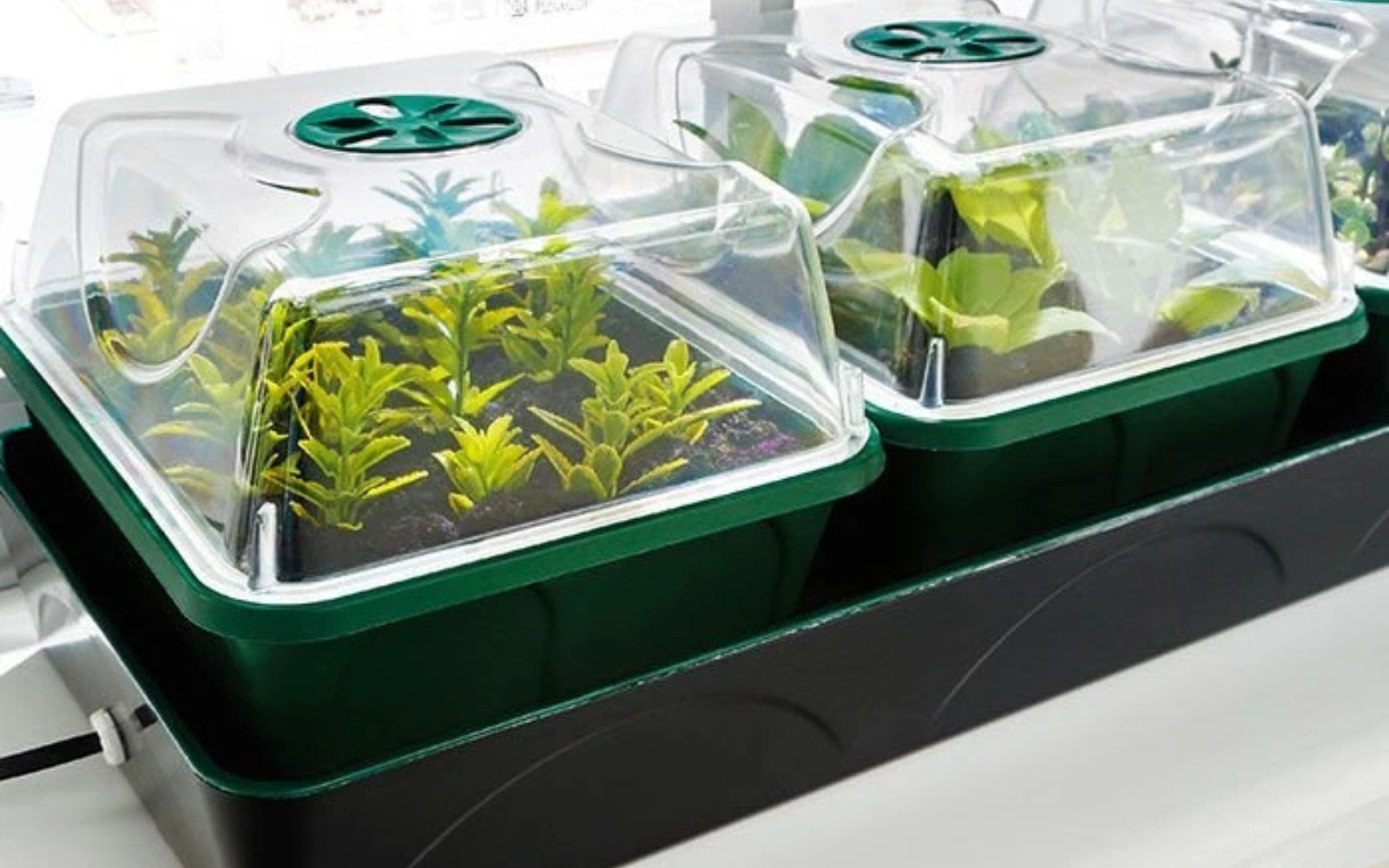 Vyhřívaný skleník pro pěstování rostlin Hollandia